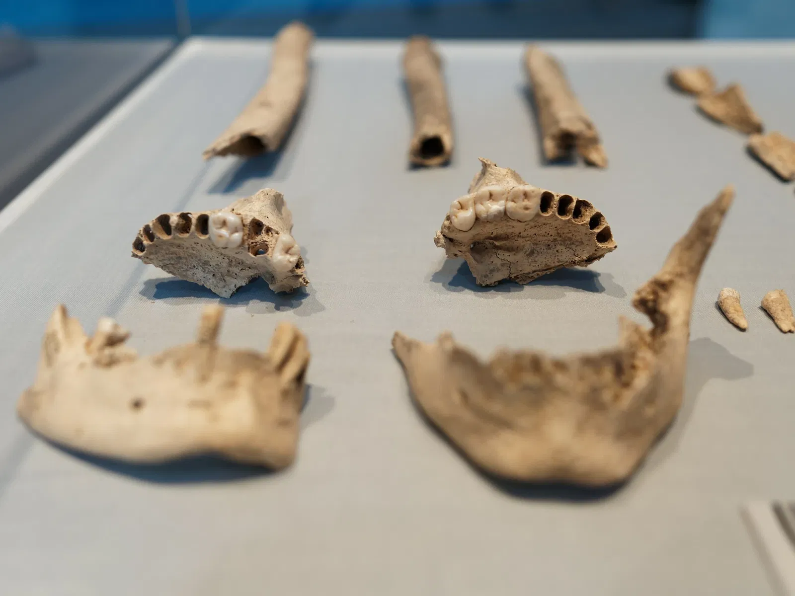 LWL Museum für Archäologie