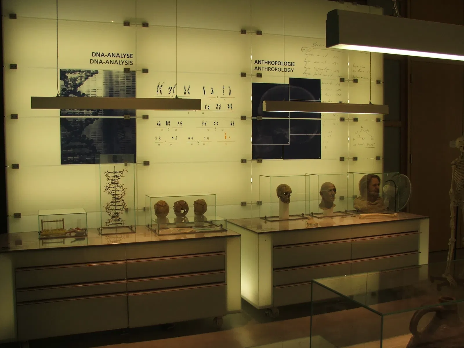 LWL Museum of Archeology