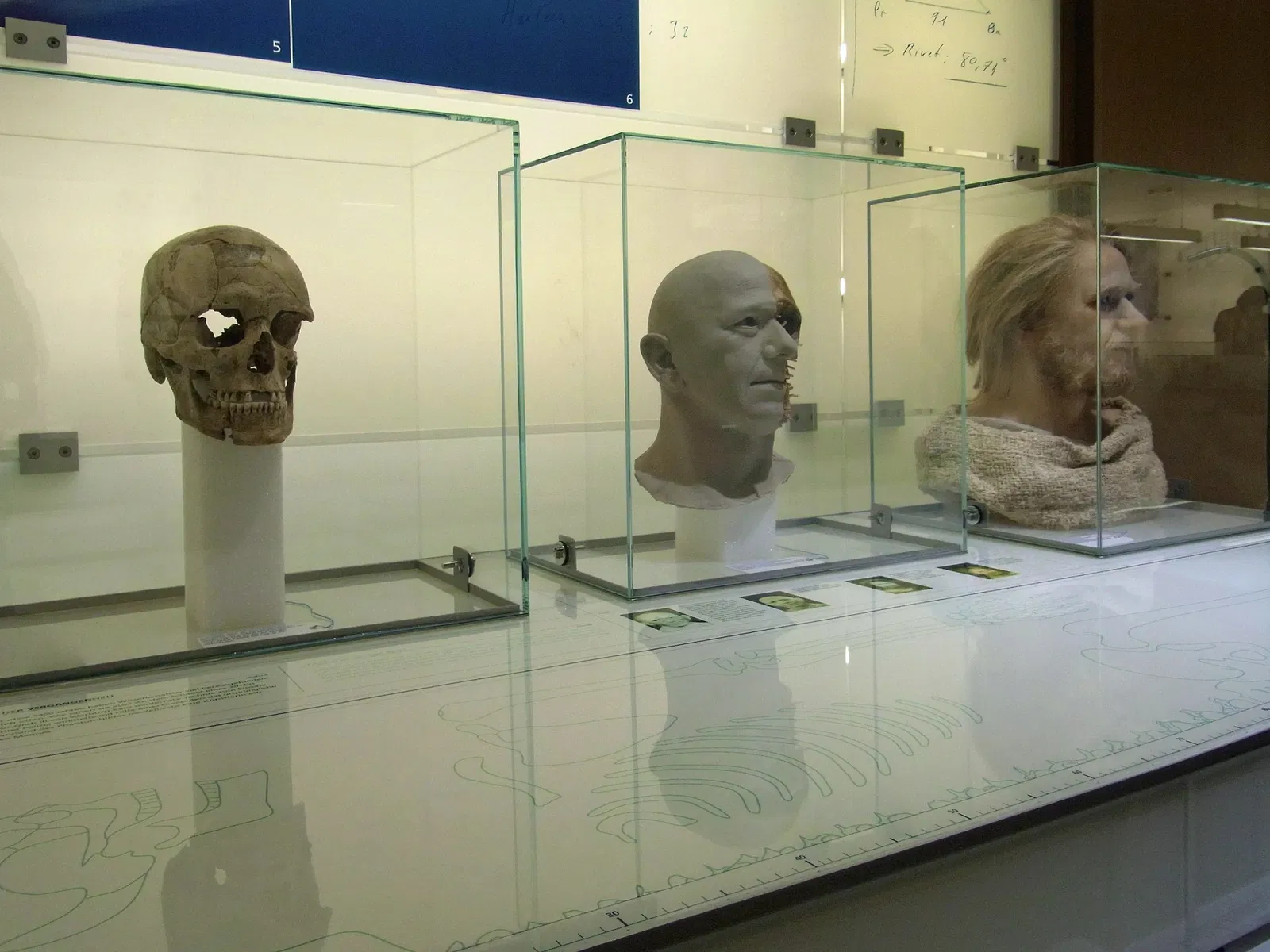 LWL Museum of Archeology