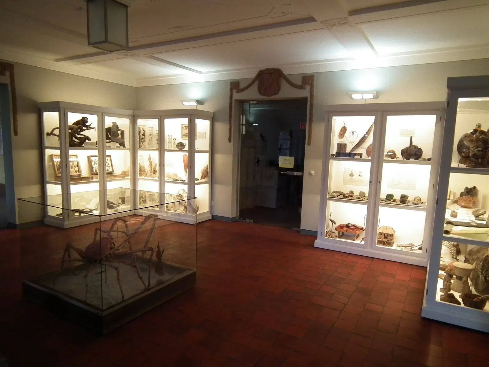 Museo Mauritianum