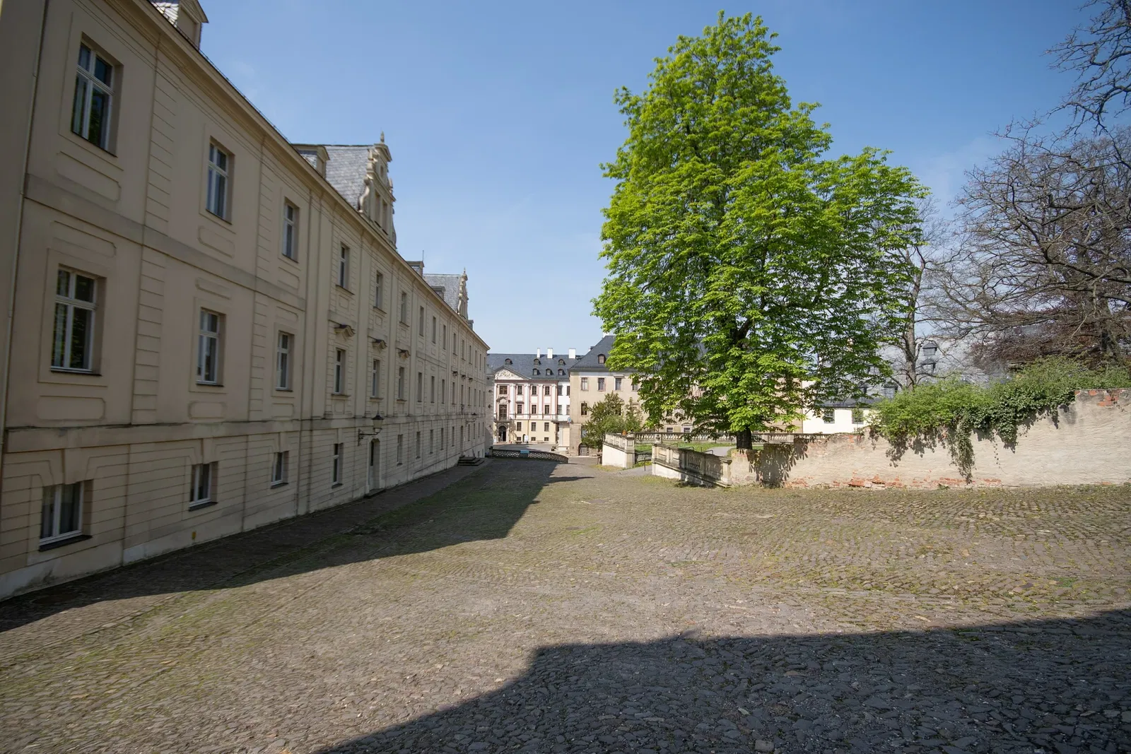 Castello di Altenburg (Turingia)