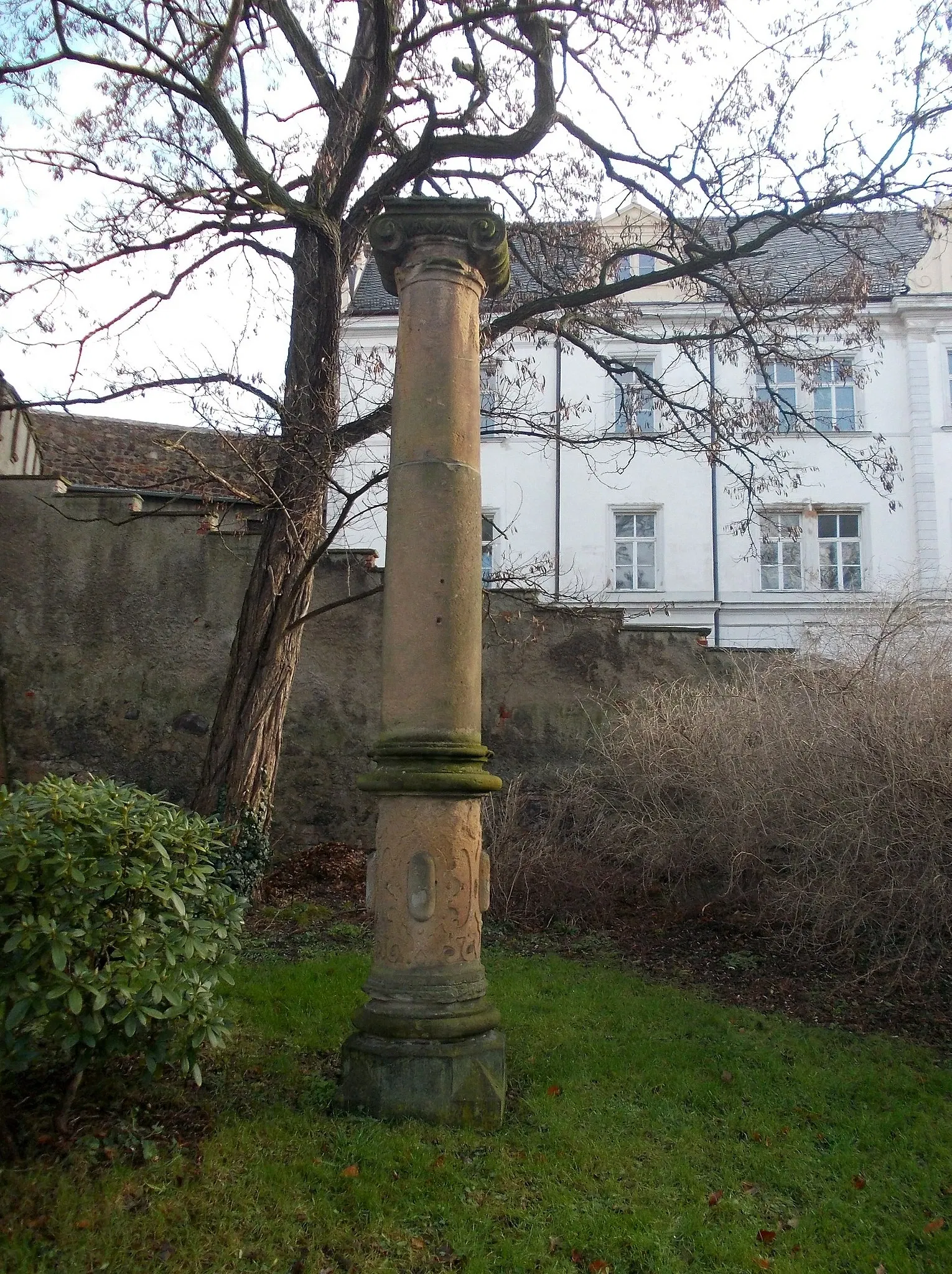 Castello di Altenburg (Turingia)