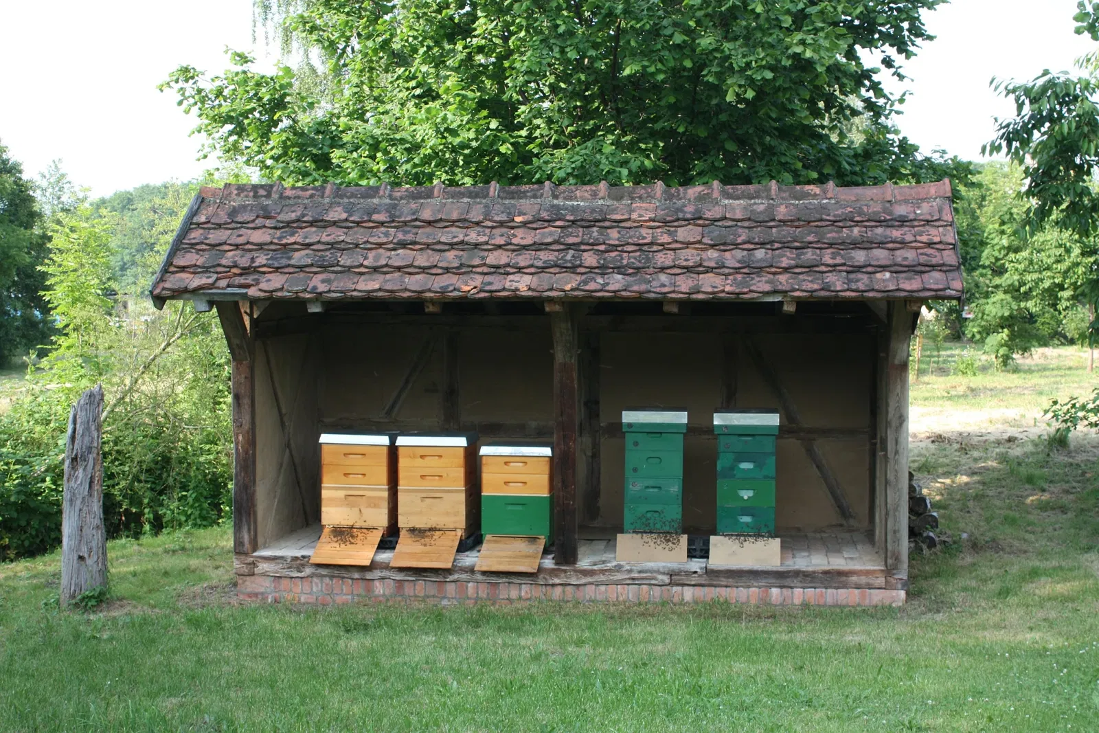 Freilichtmuseum für Volkskunde Schwerin-Mueß
