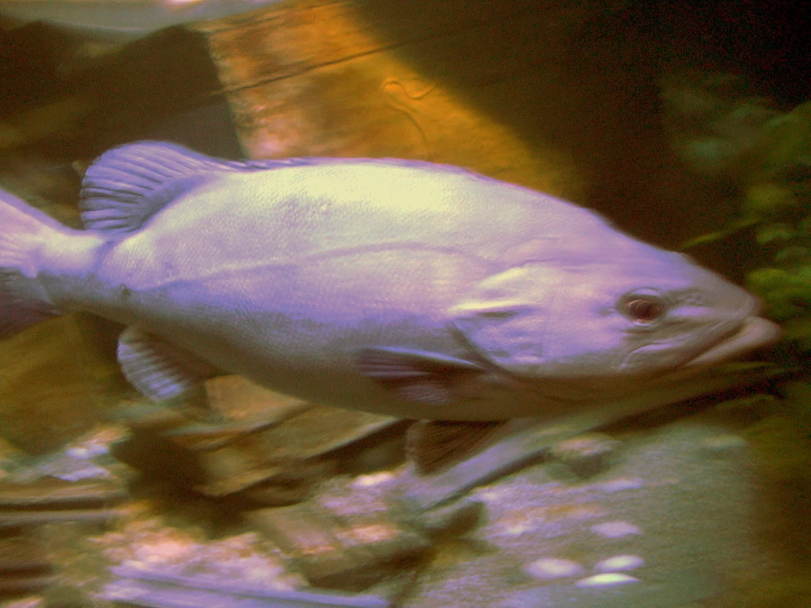 Sea Life Königswinter