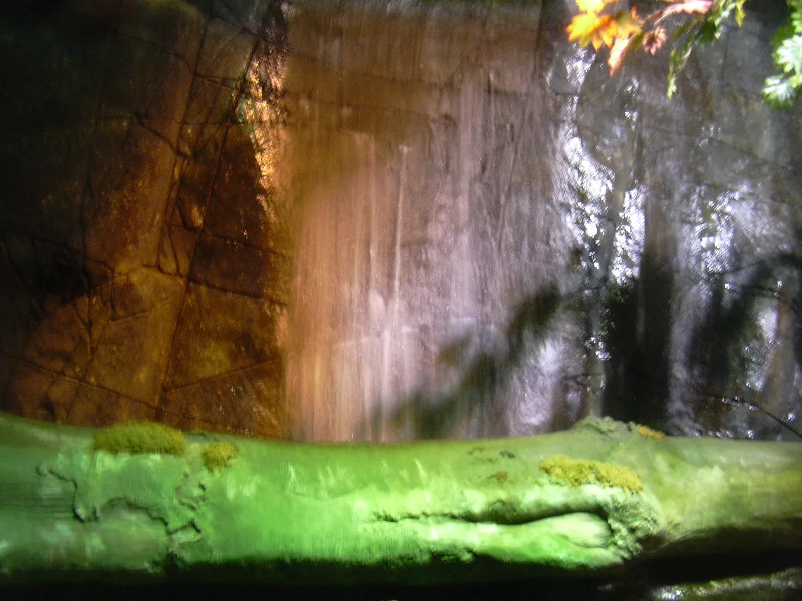 Sea Life Königswinter