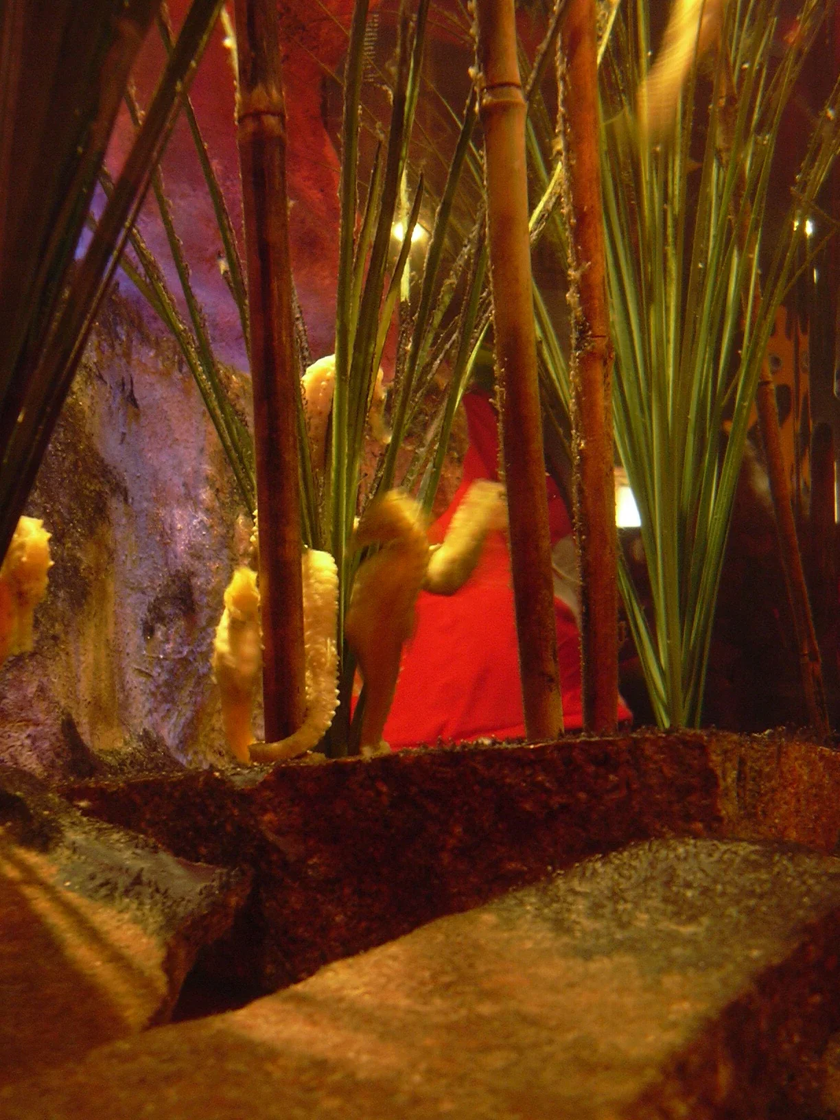 Sea Life Königswinter