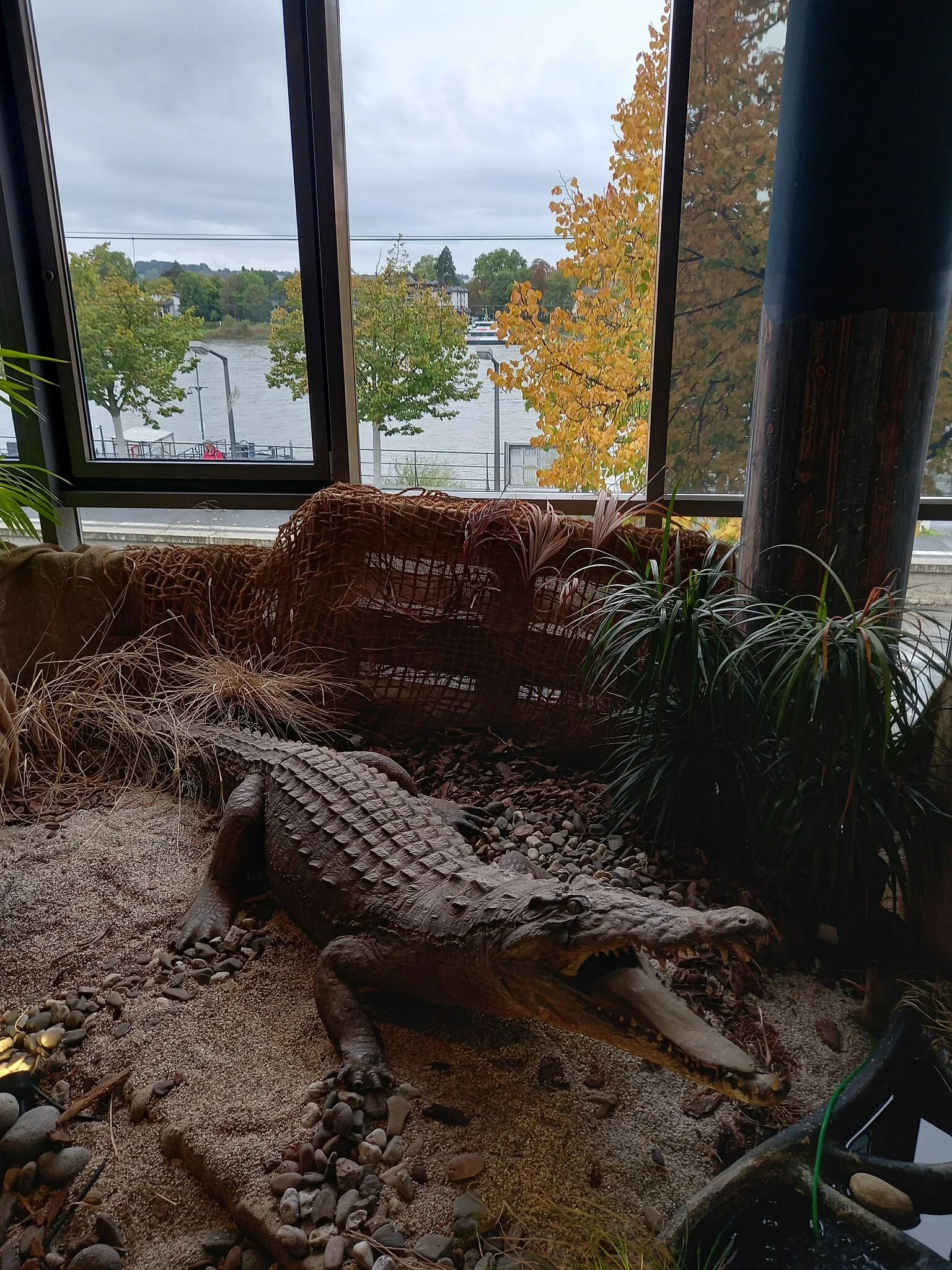 Sea Life Königswinter