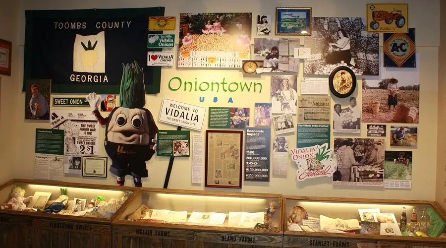 The Vidalia Onion Museum • Carolyn Malaika