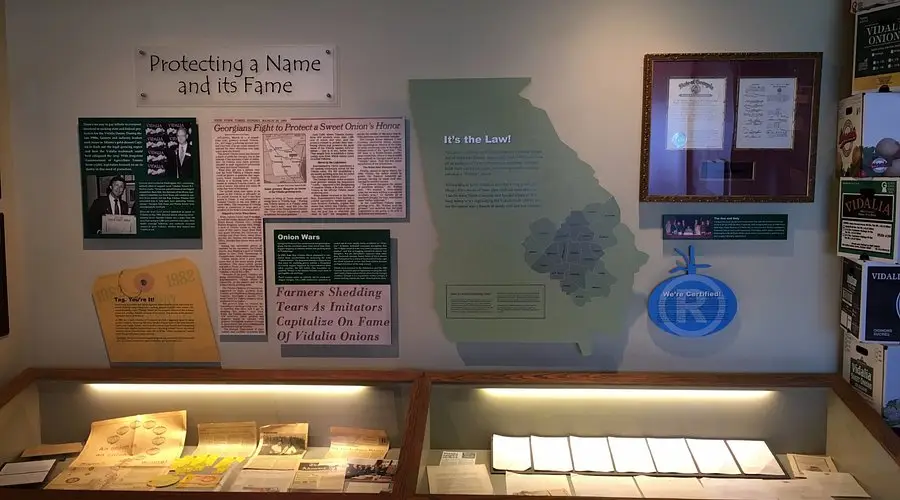 The Vidalia Onion Museum • Carolyn Malaika