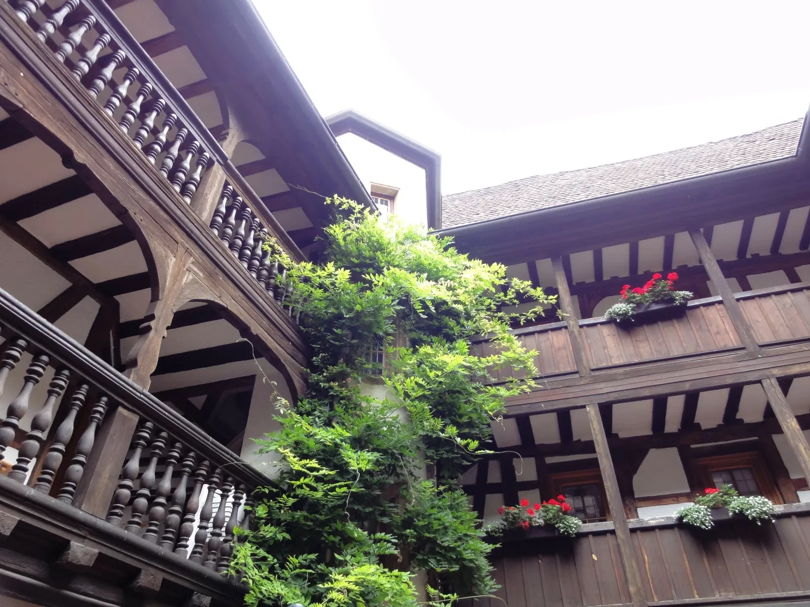 Frank-Loebsches Haus