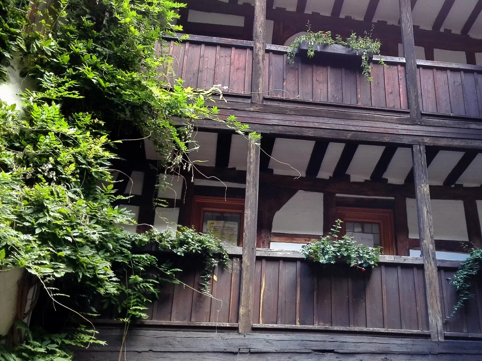 Frank-Loebsches Haus