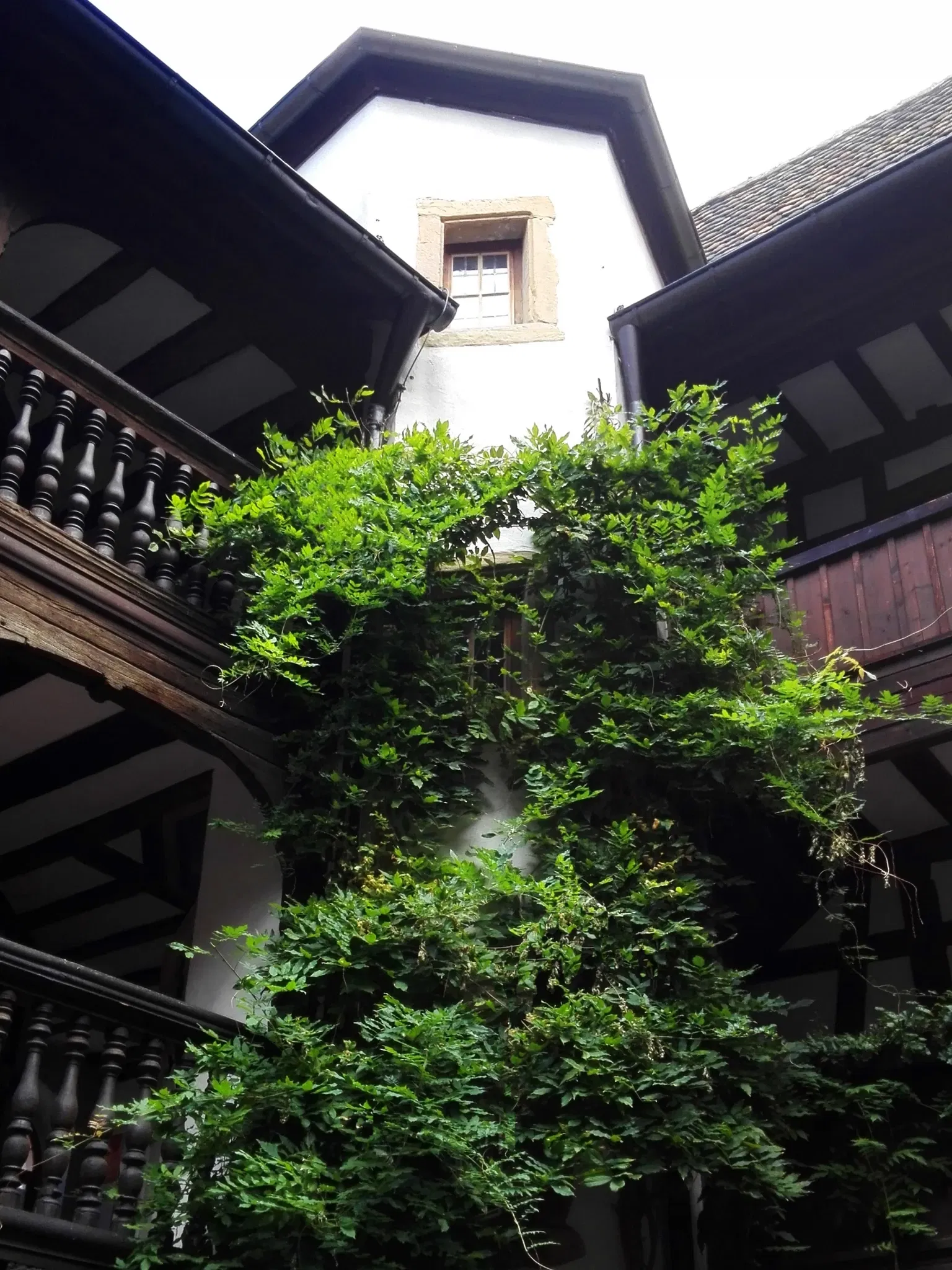 Frank-Loebsches Haus