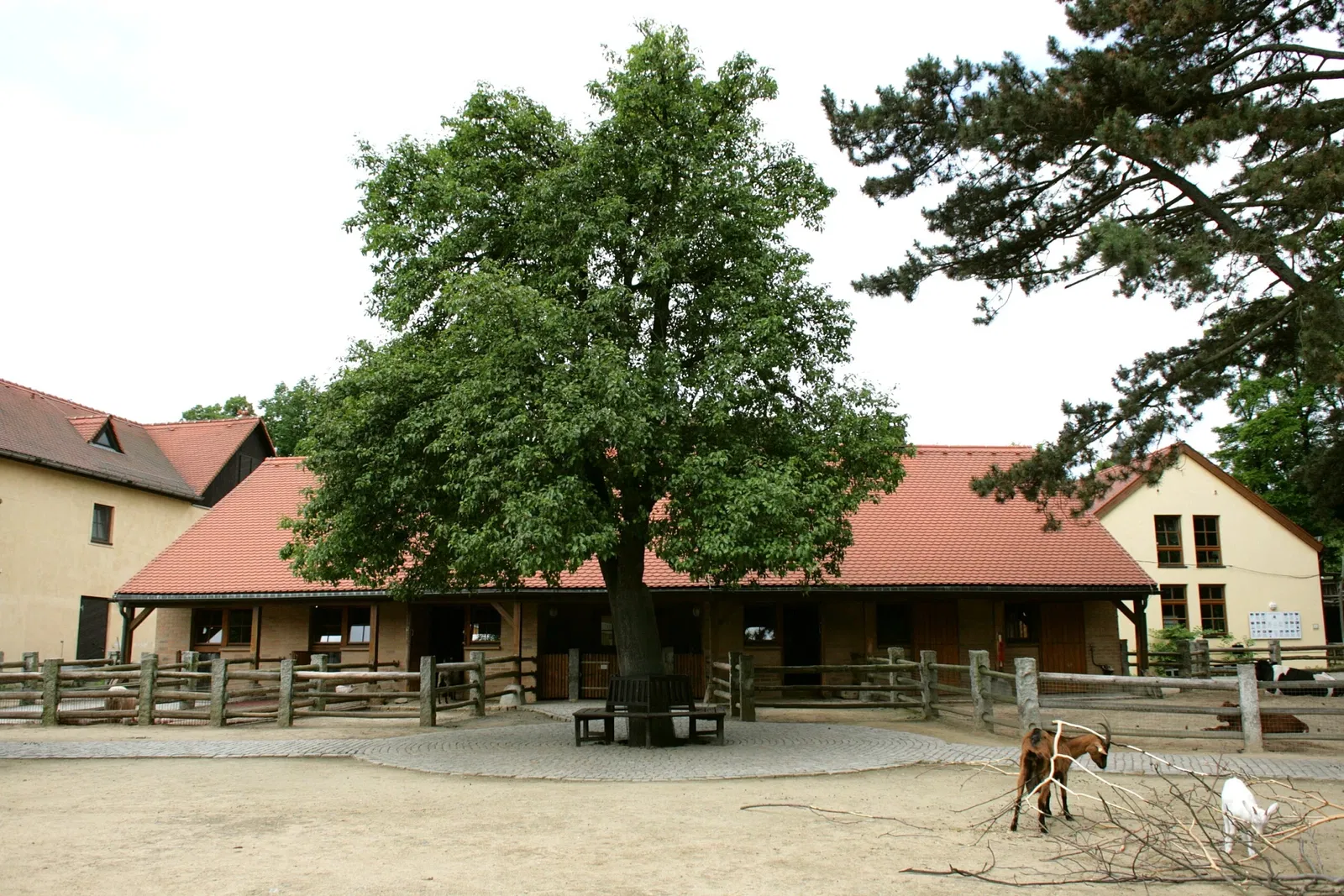 Görlitz Zoo