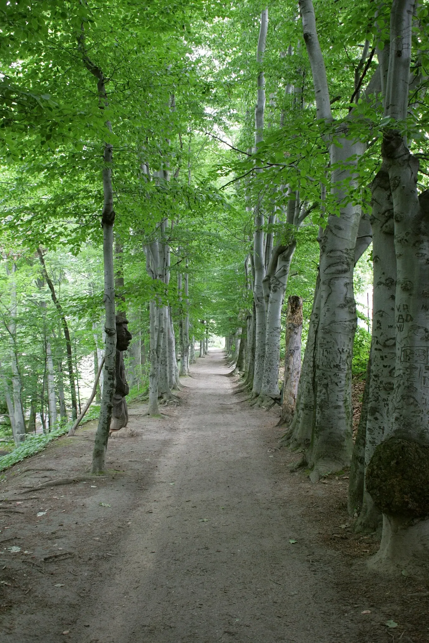 Naturschutz-Tierpark Görlitz