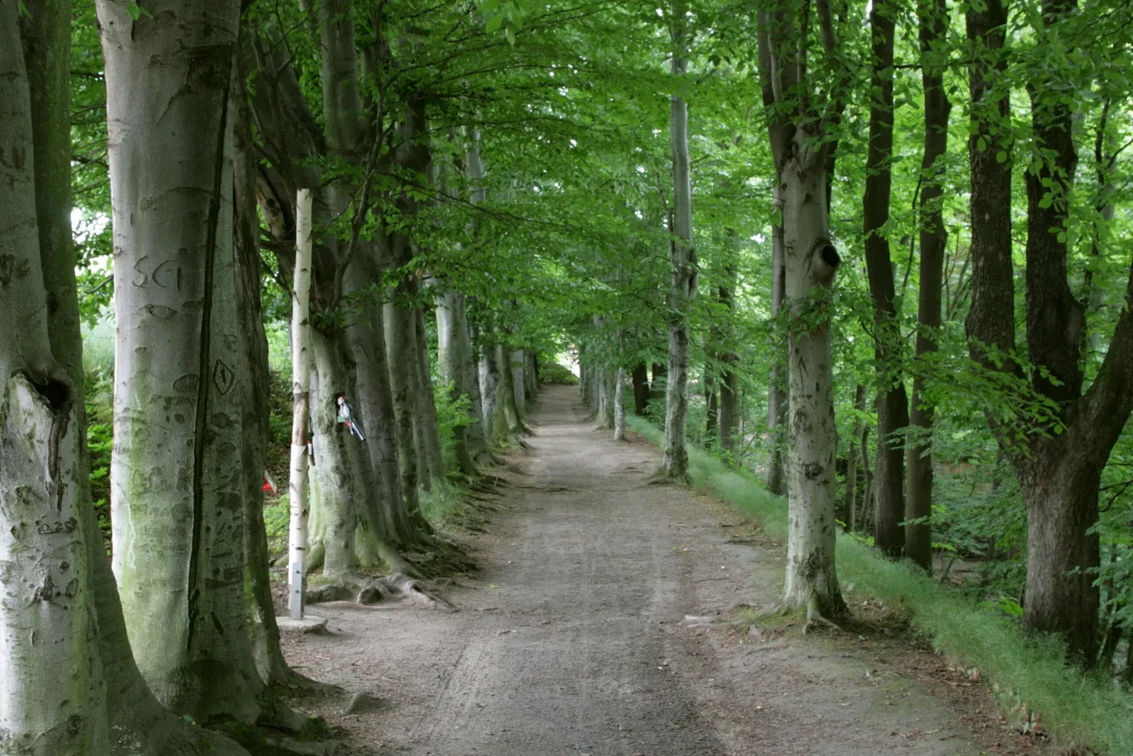 Naturschutz-Tierpark Görlitz