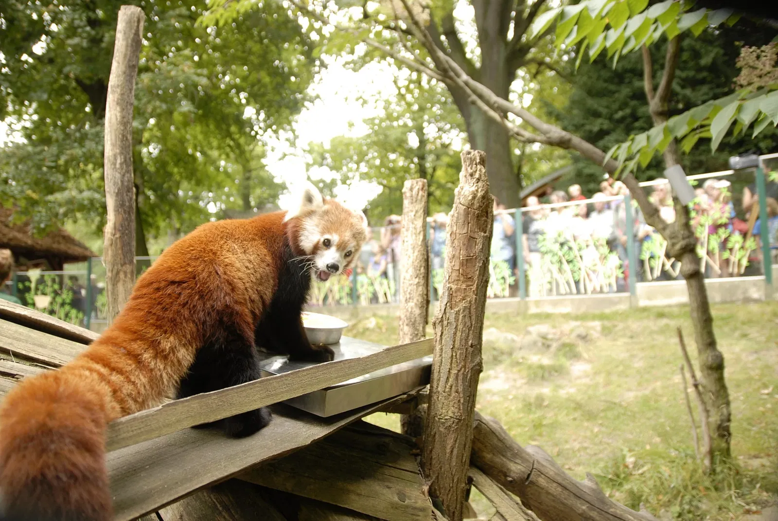 Naturschutz-Tierpark Görlitz