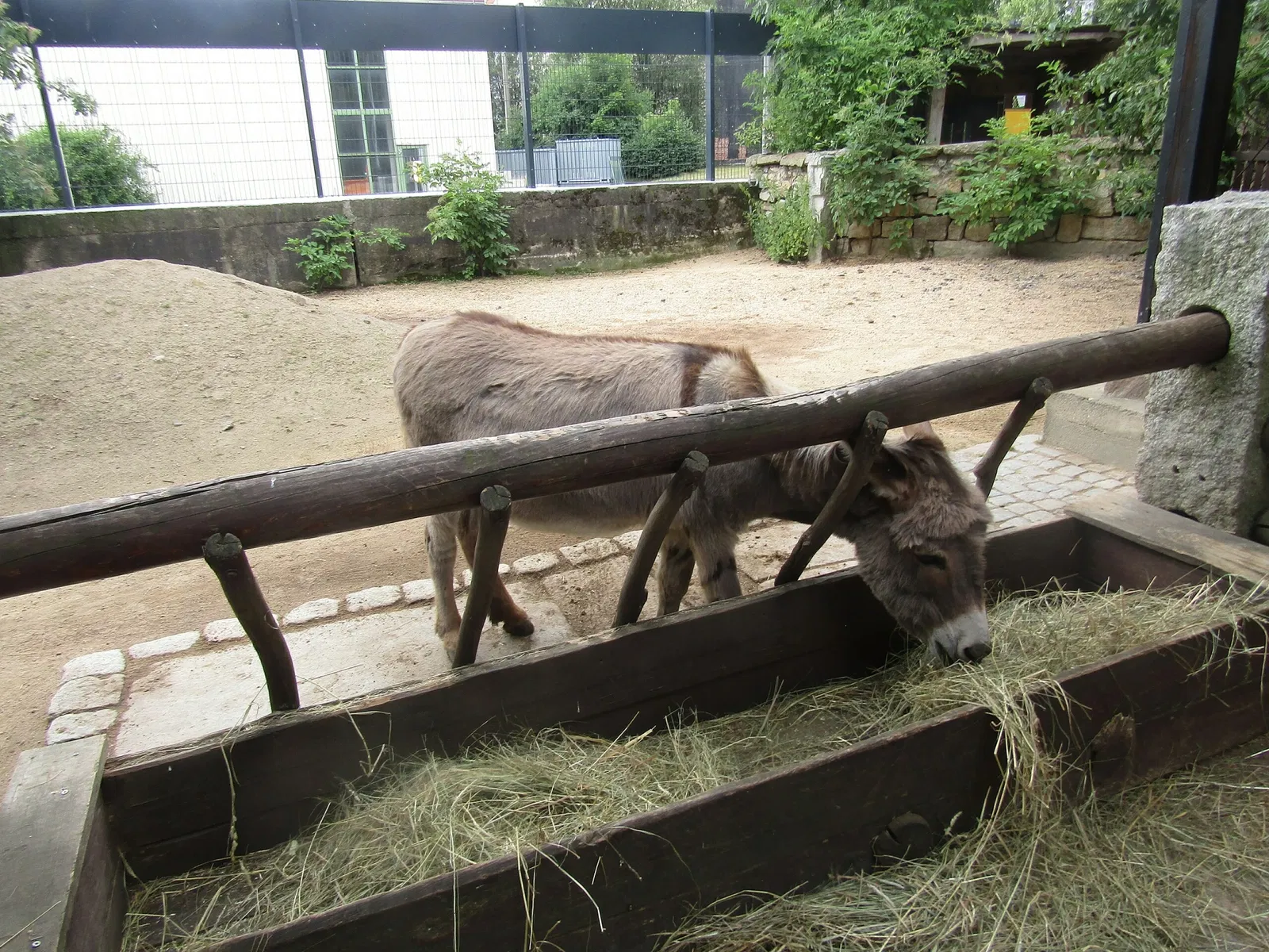 Naturschutz-Tierpark Görlitz