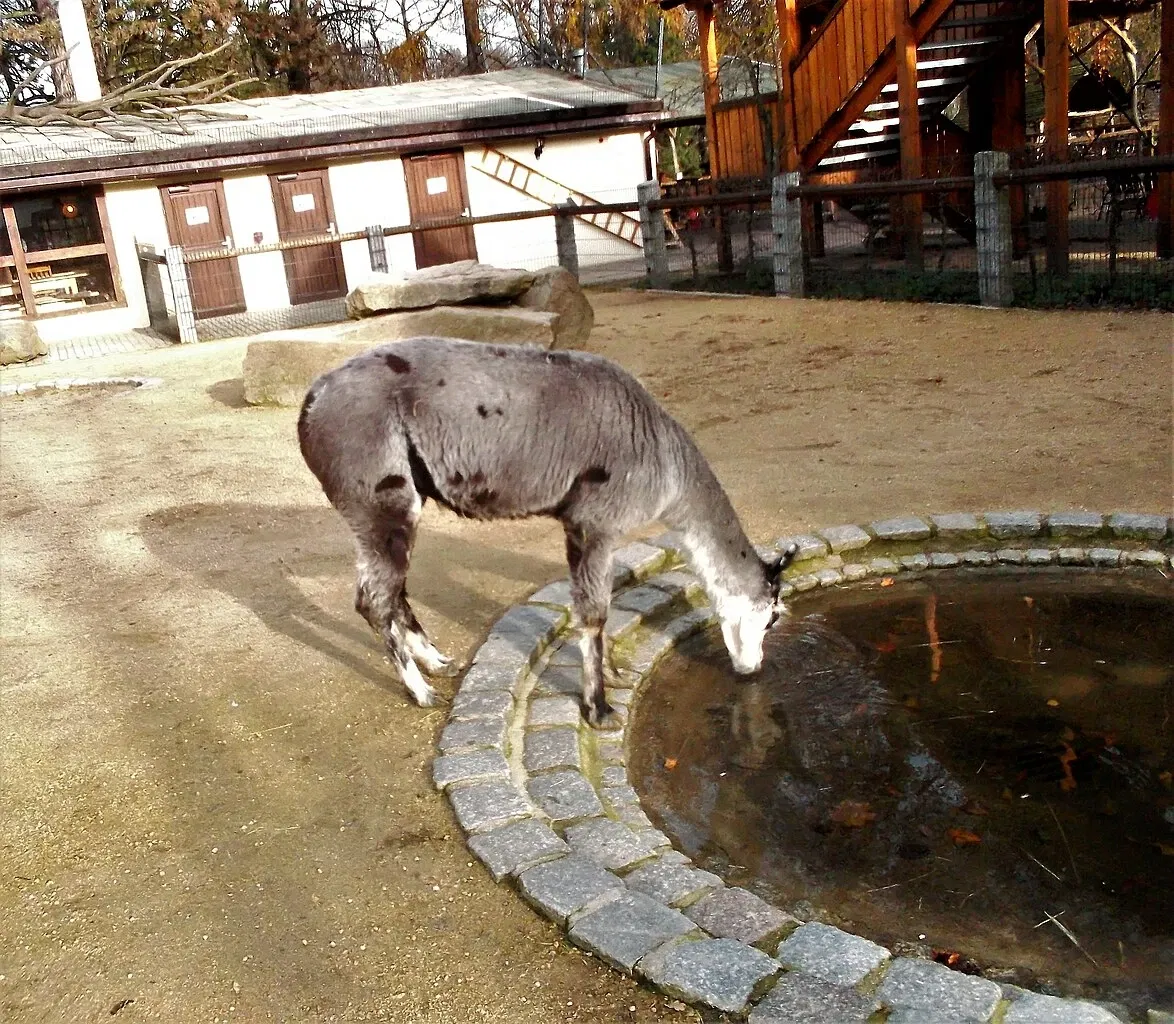 Görlitz Zoo