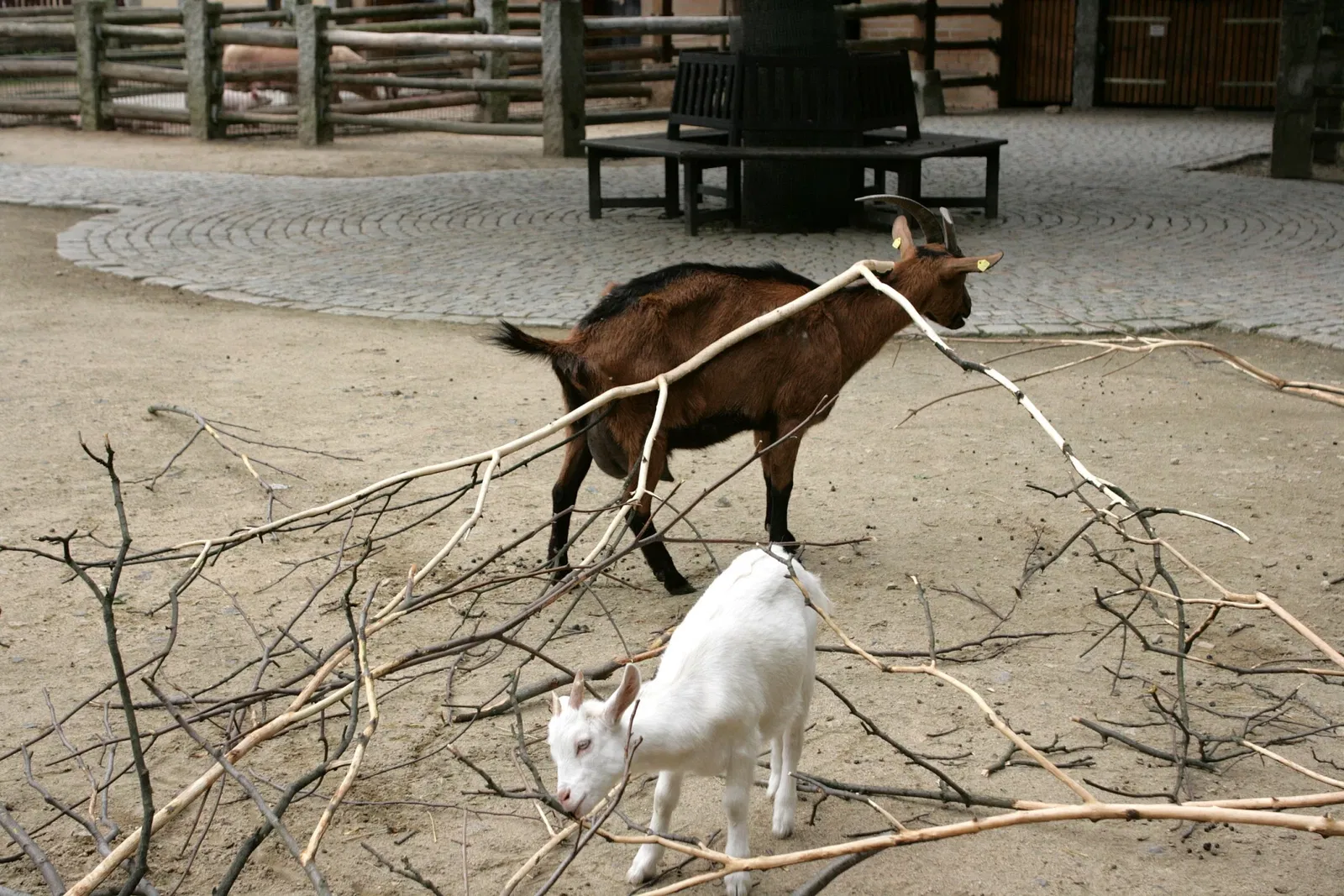 Görlitz Zoo