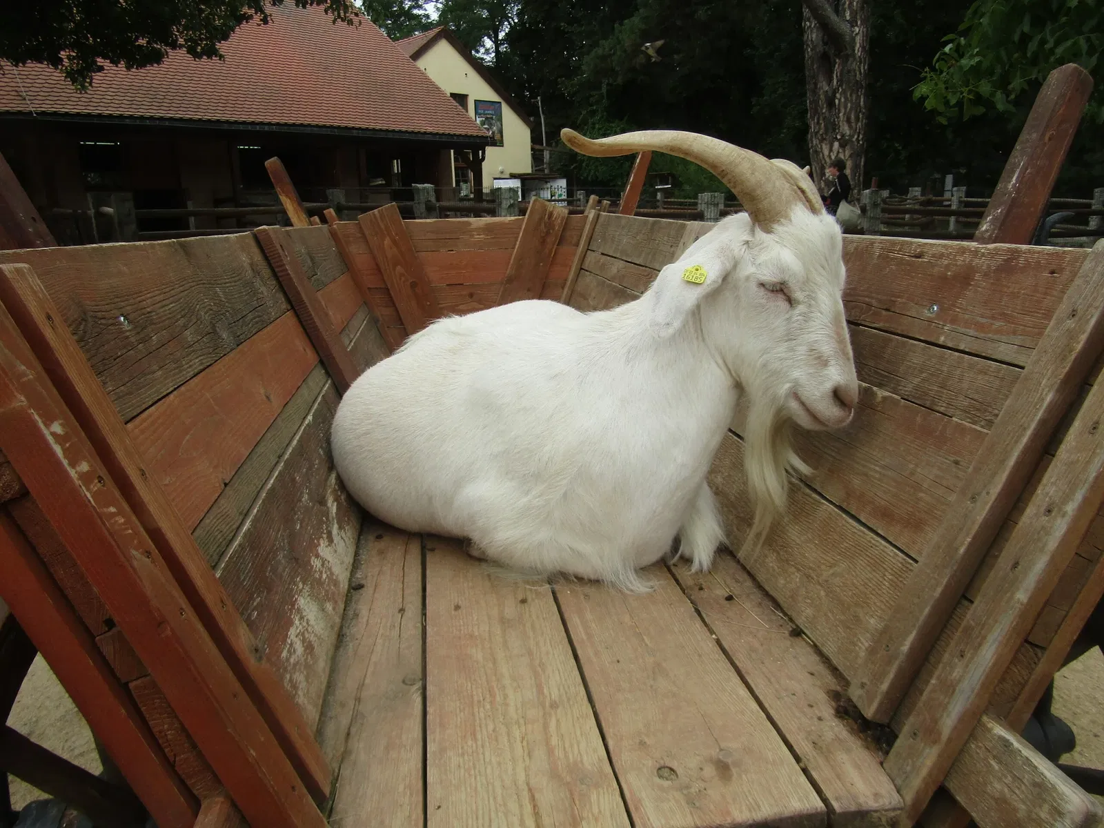 Naturschutz-Tierpark Görlitz