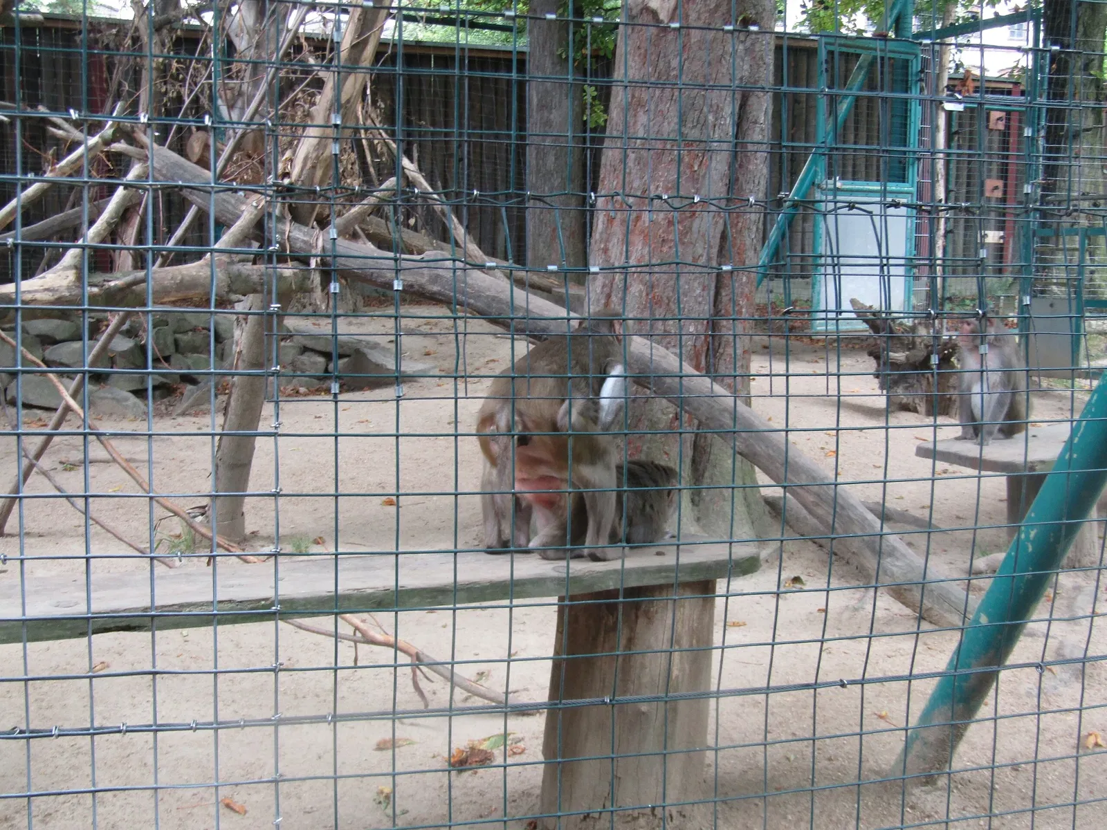 Görlitz Zoo