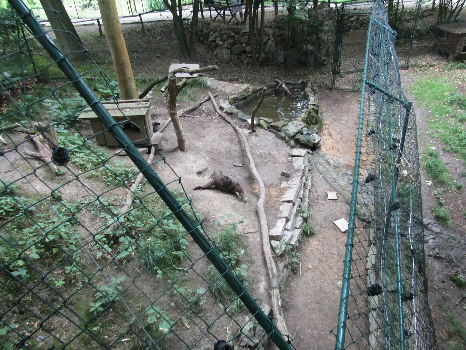 Naturschutz-Tierpark Görlitz