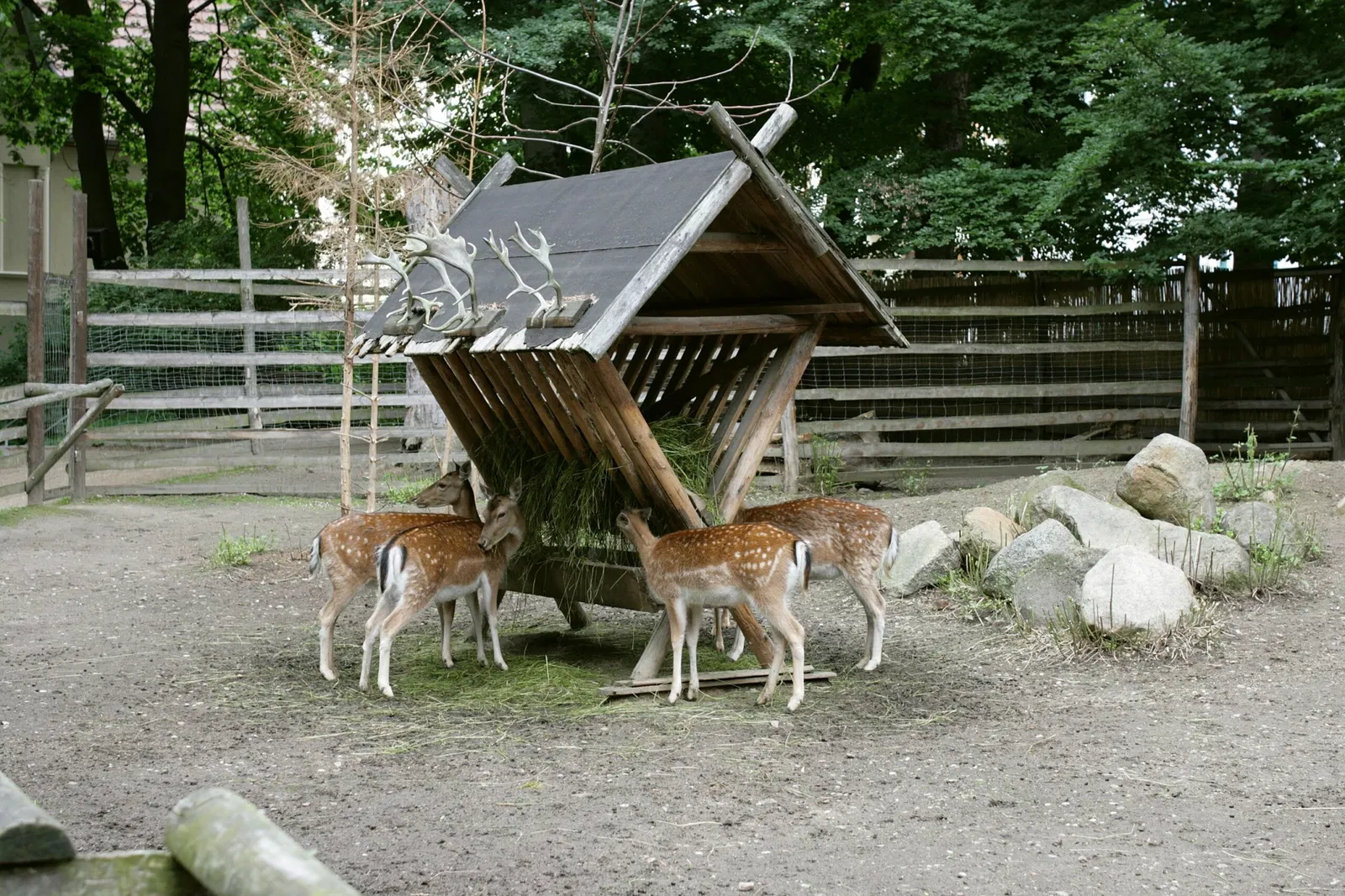 Naturschutz-Tierpark Görlitz