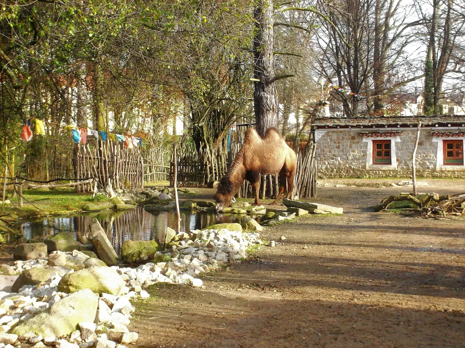 Görlitz Zoo