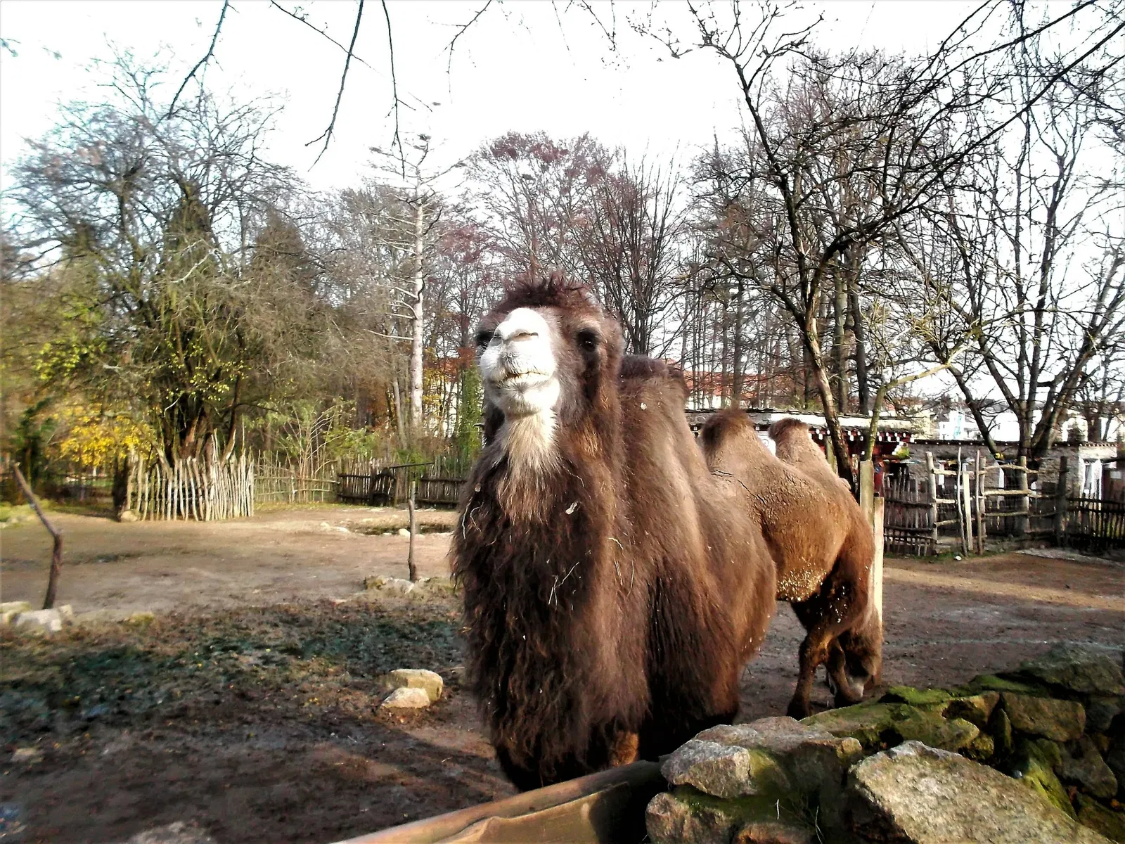 Görlitz Zoo