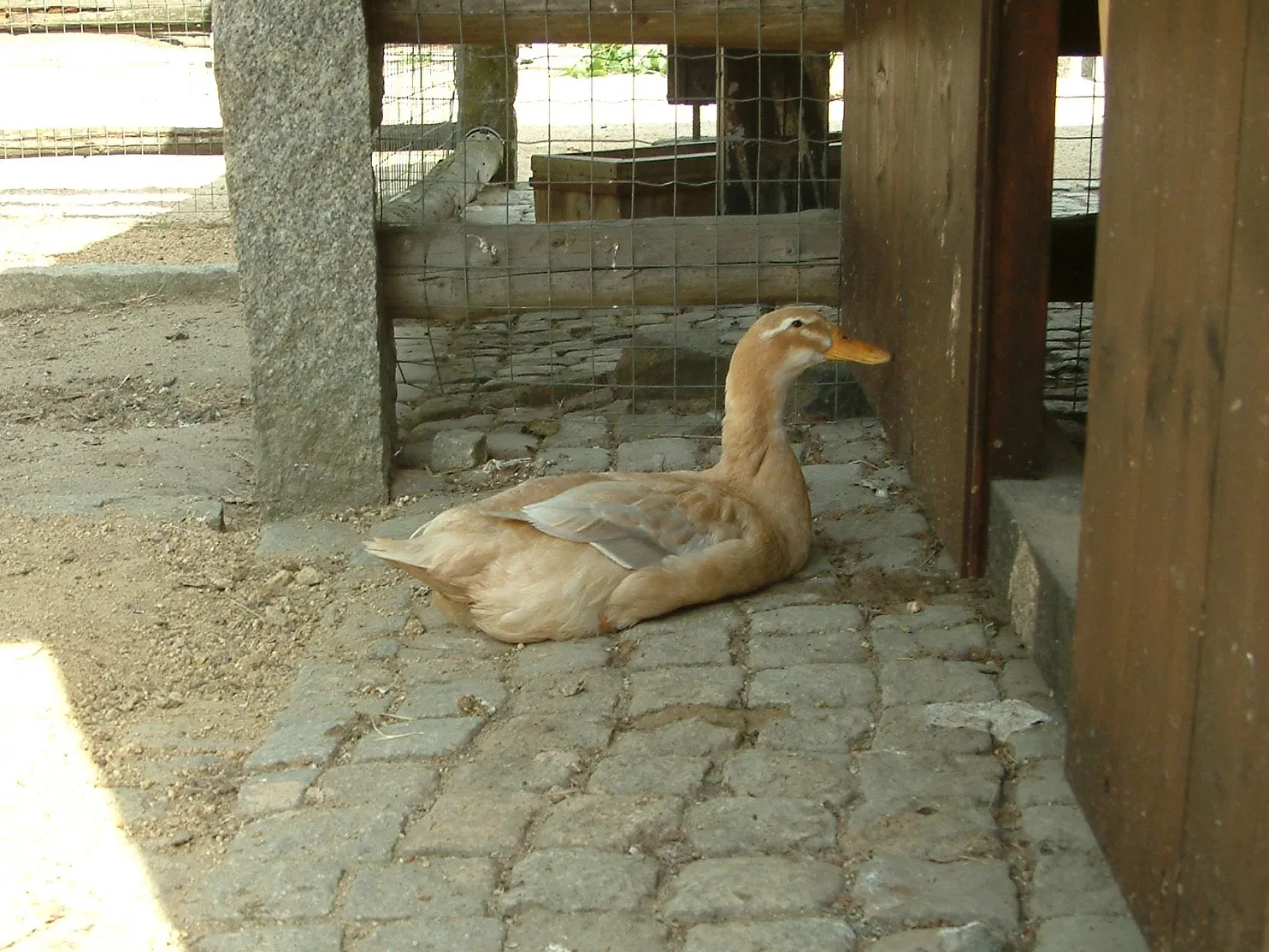 Görlitz Zoo