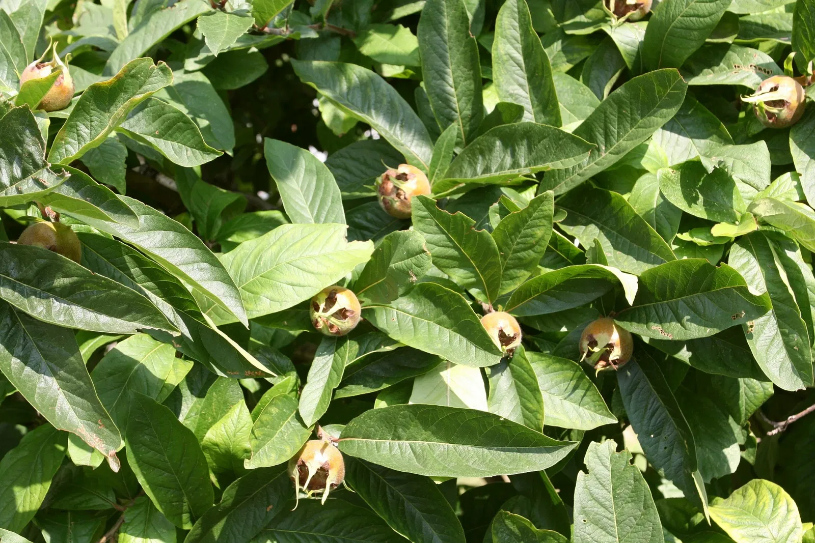 Bergisches Museum für Bergbau, Handwerk und Gewerbe
