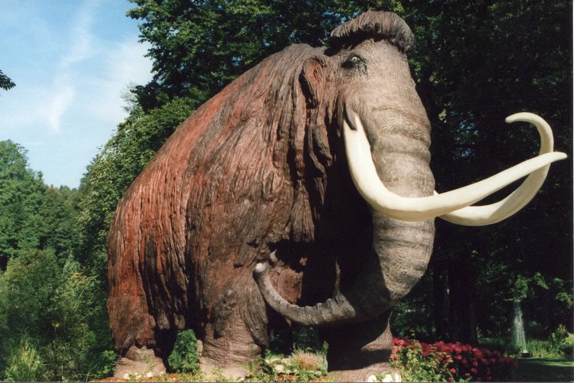 Naturkunde- und Mammut Museum Siegsdorf