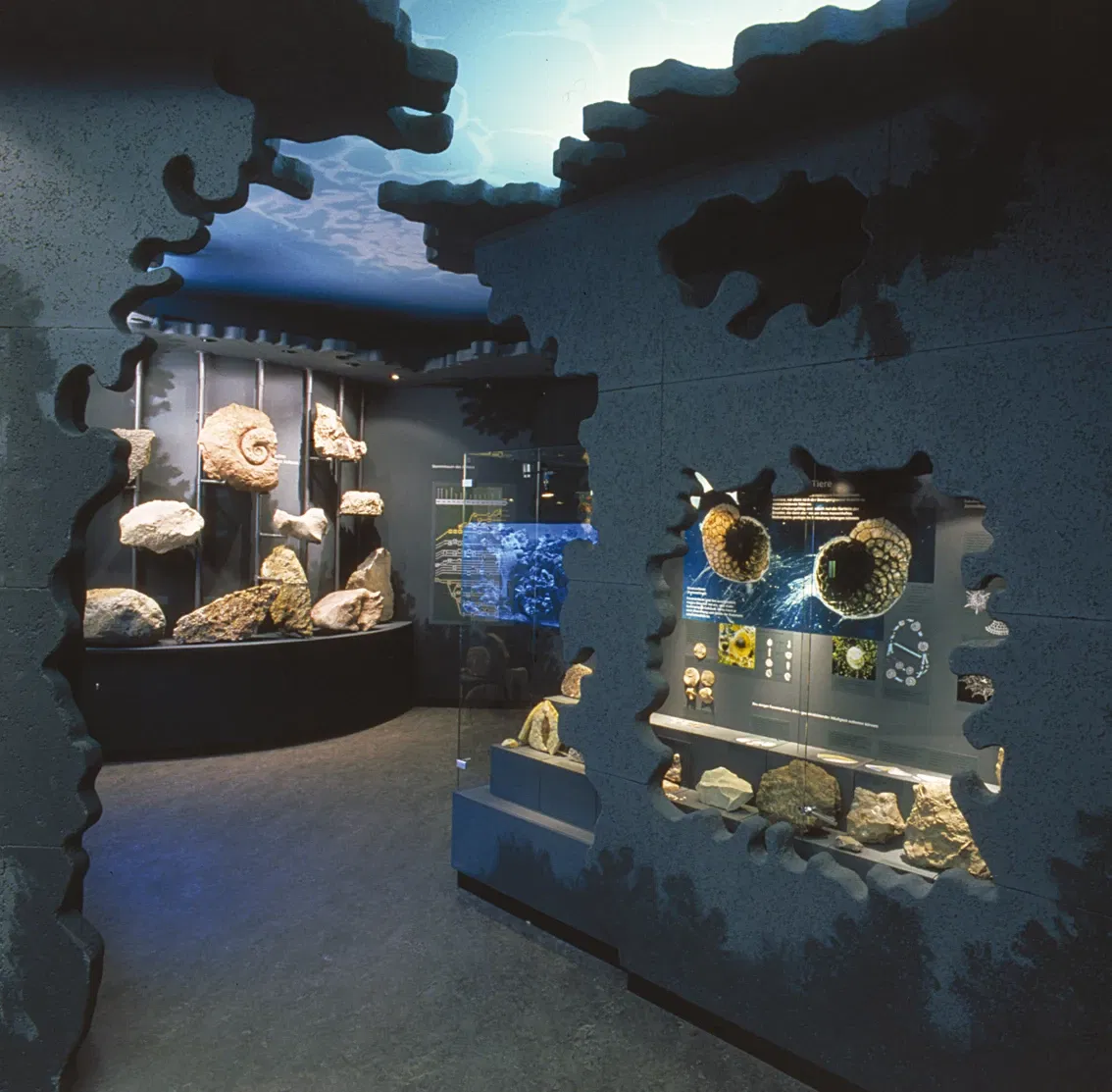 Naturkunde- und Mammut Museum Siegsdorf