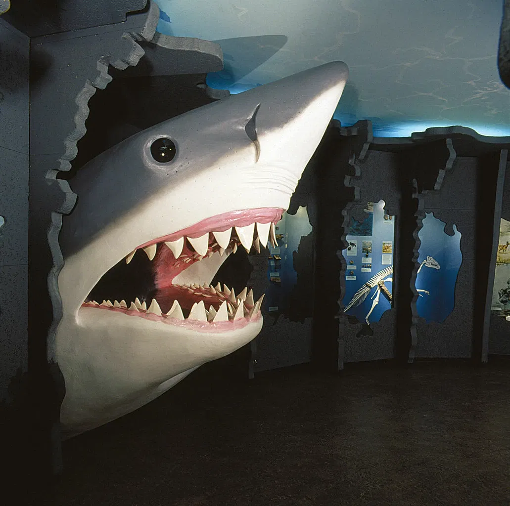 Naturkunde- und Mammut Museum Siegsdorf