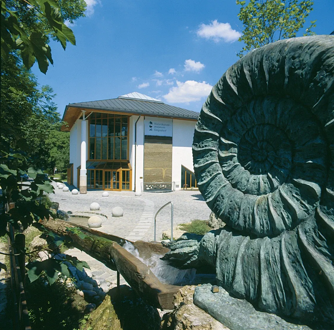 Naturkunde- und Mammut Museum Siegsdorf