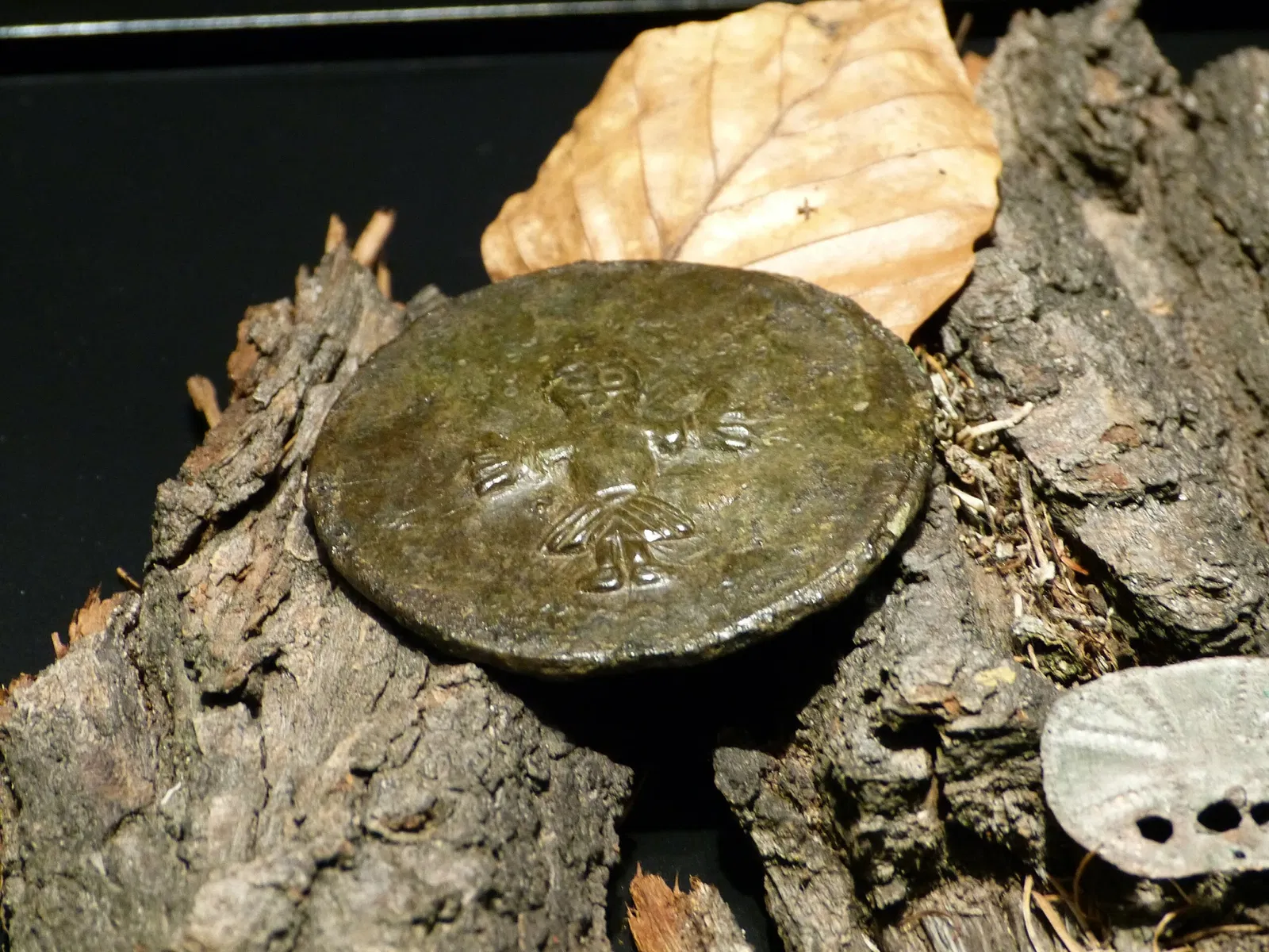 Archäologisches Freilichtmuseum Groß Raden