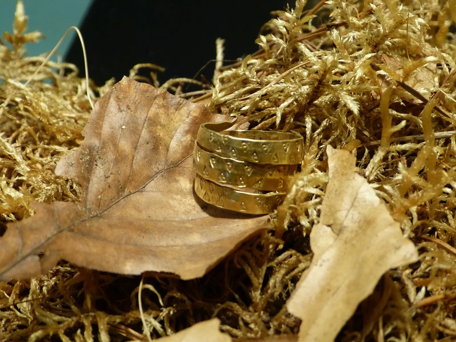 Archäologisches Freilichtmuseum Groß Raden