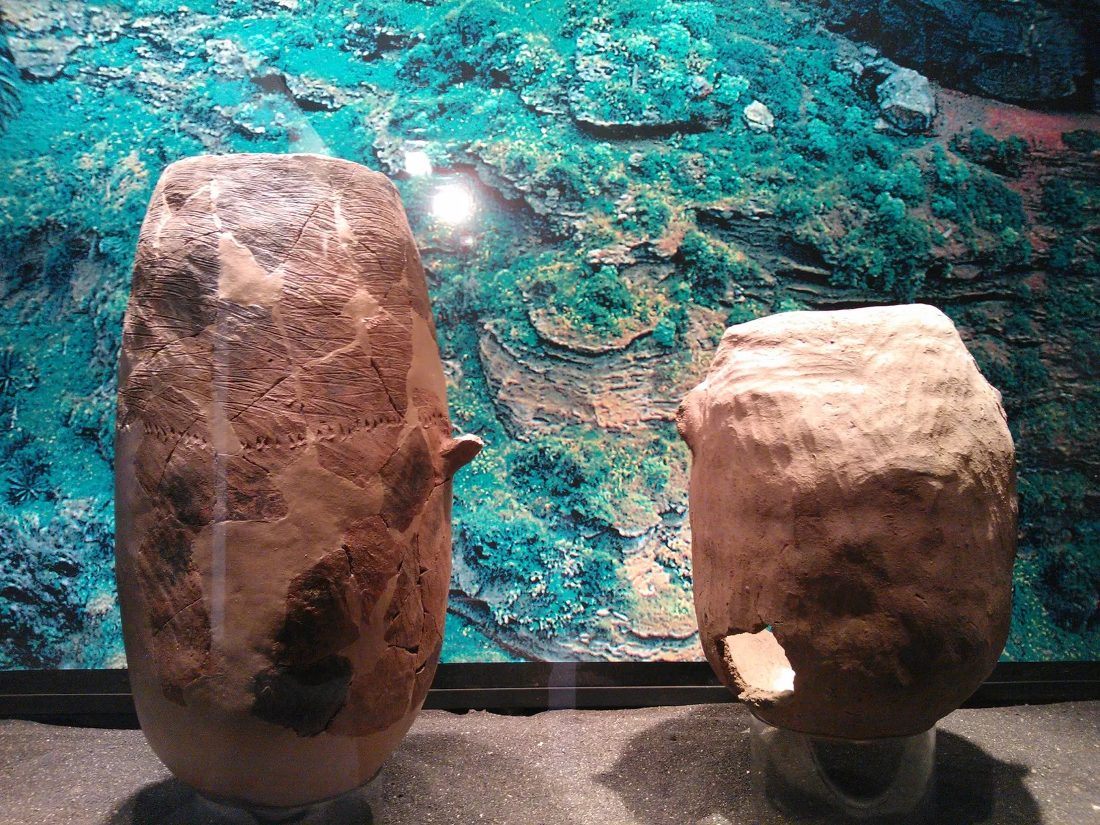 Musée archéologique de Puerto de la Cruz