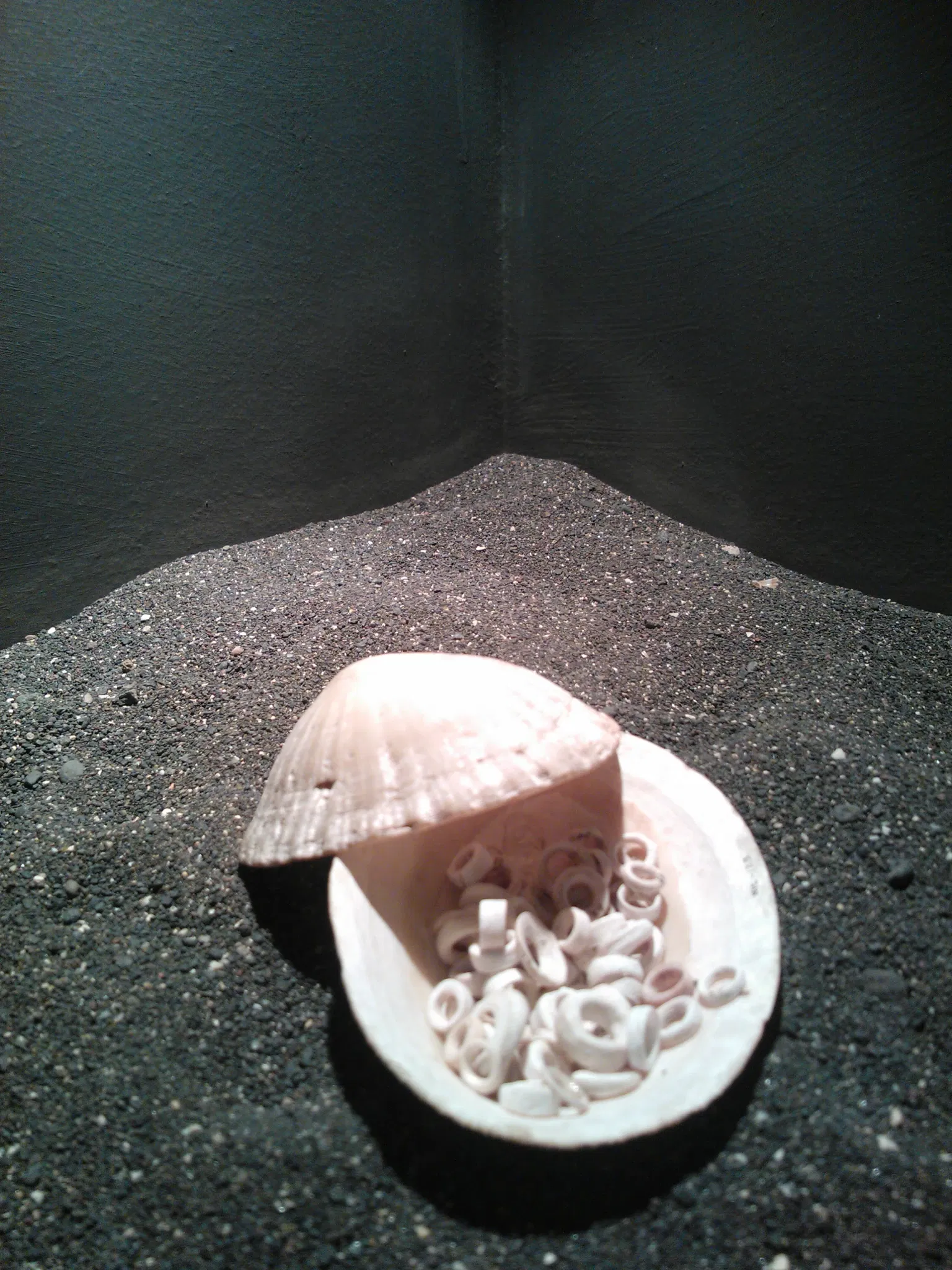 Archaeological Museum of Puerto de la Cruz