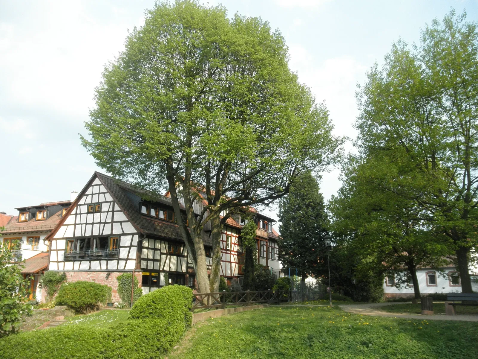 Stadtmuseum Michelstadt