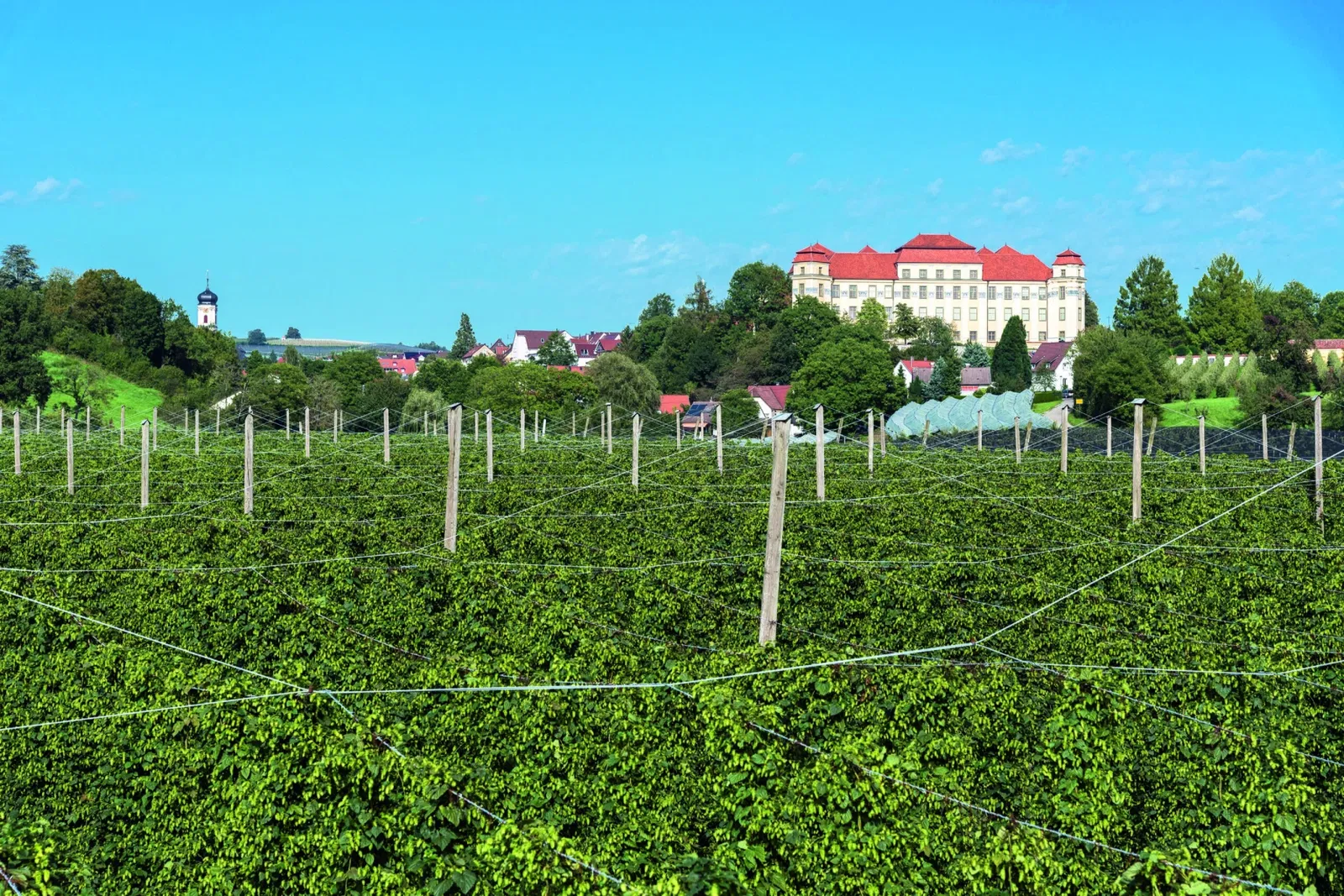 Neues Schloss Tettnang