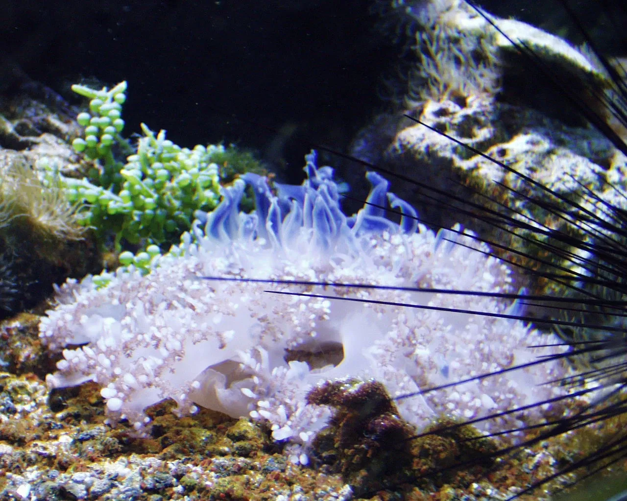 Meereszentrum Fehmarn