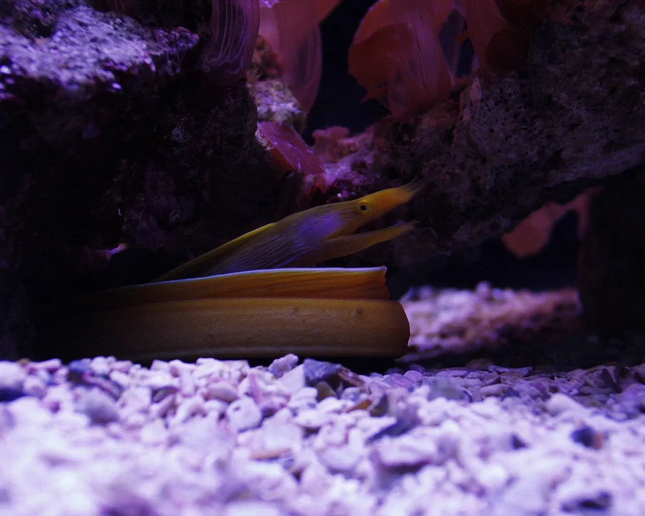 Meereszentrum Fehmarn