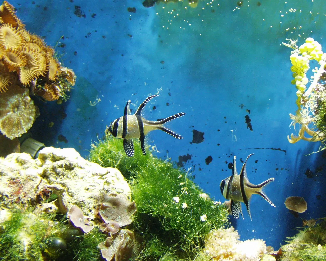 Meereszentrum Fehmarn