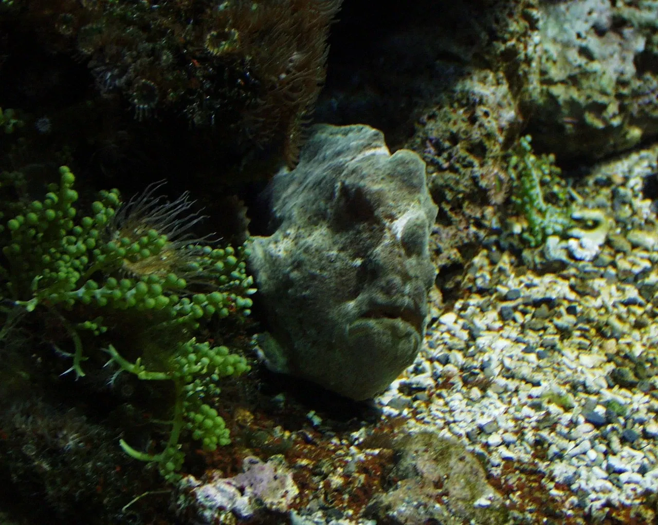 Meereszentrum Fehmarn