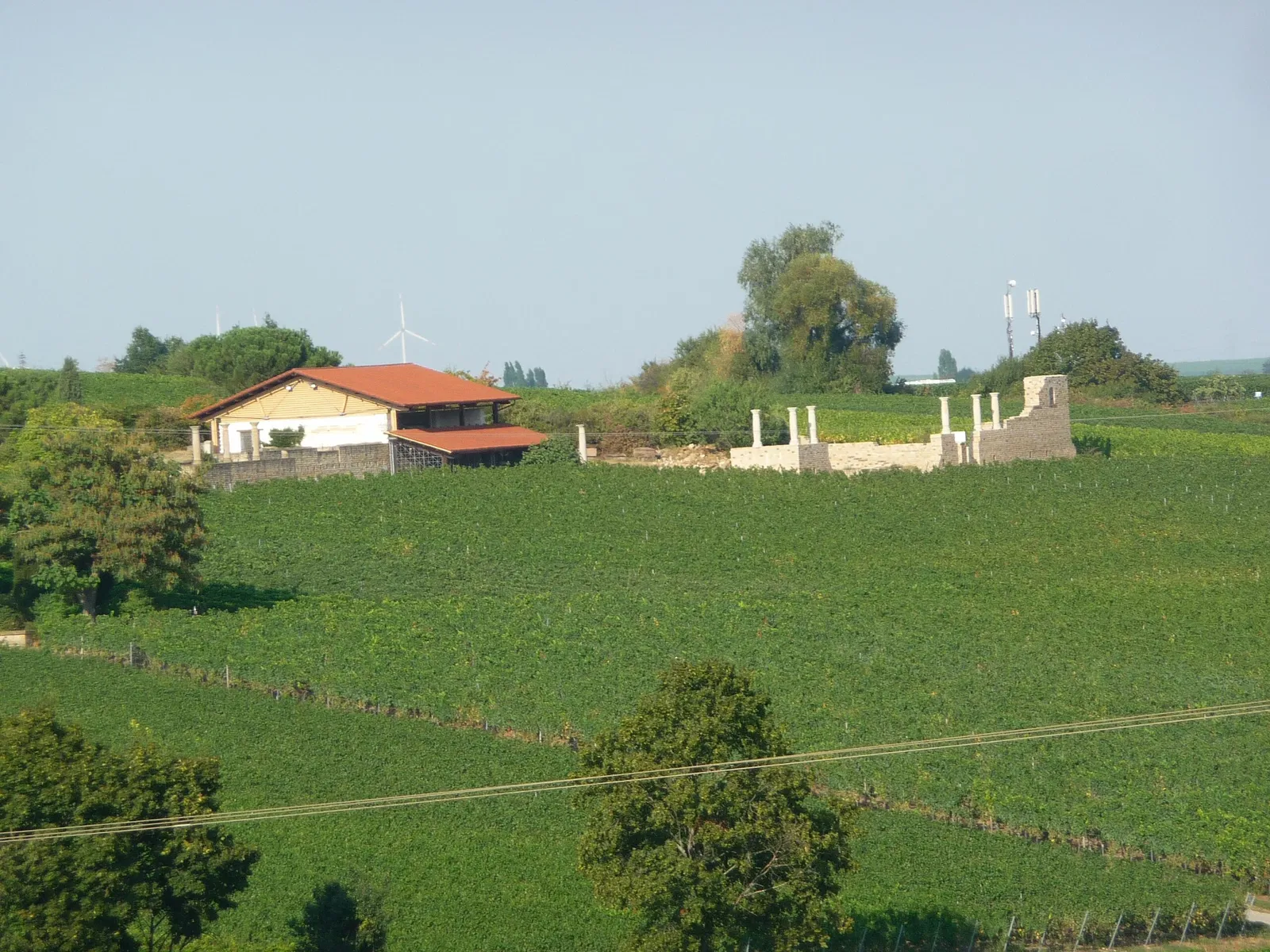 Römisches Weingut Weilberg