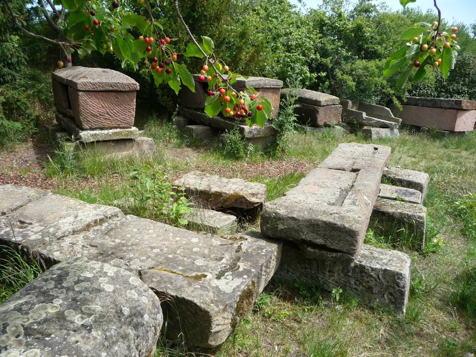 Römisches Weingut Weilberg