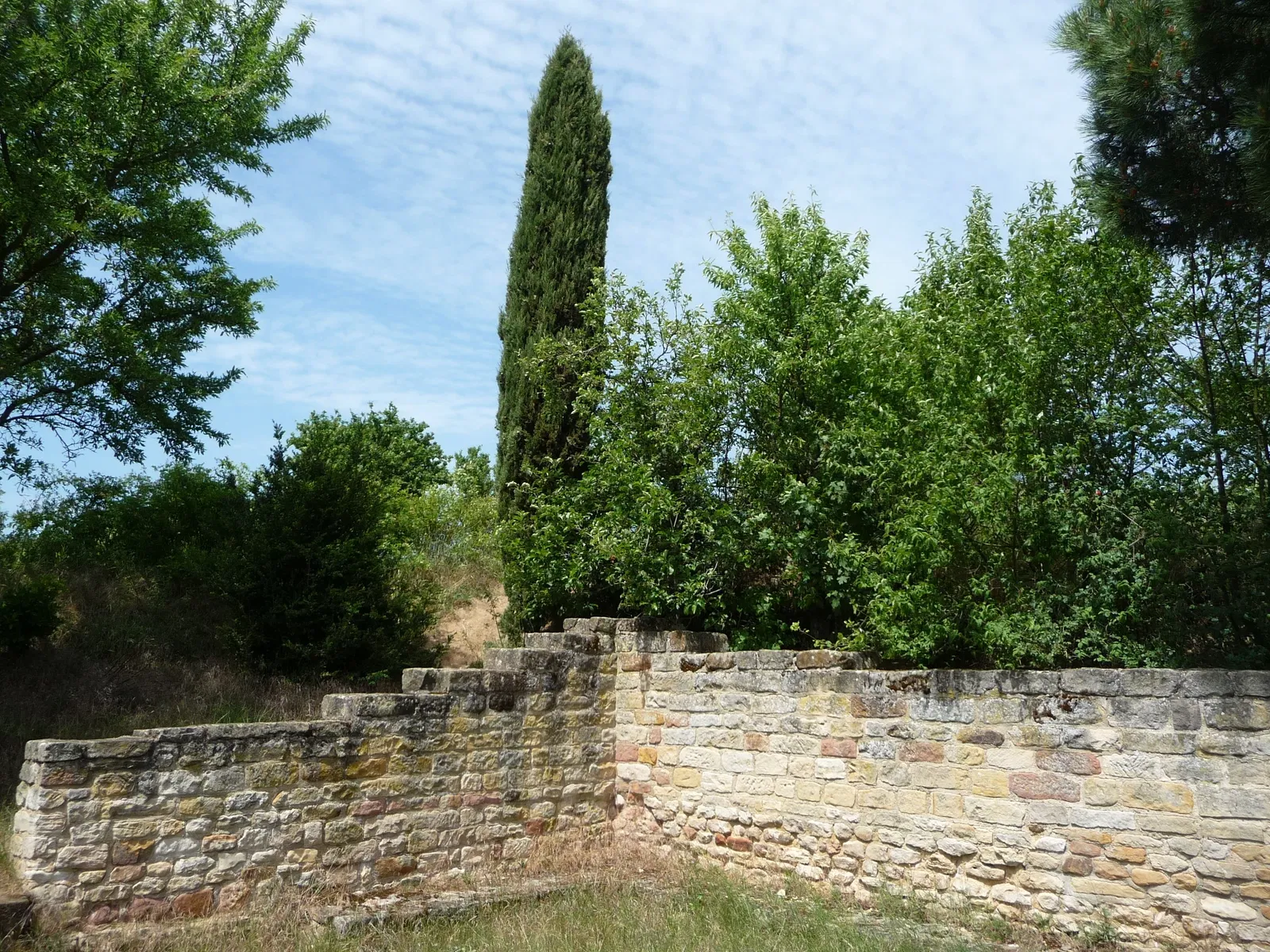 Römisches Weingut Weilberg