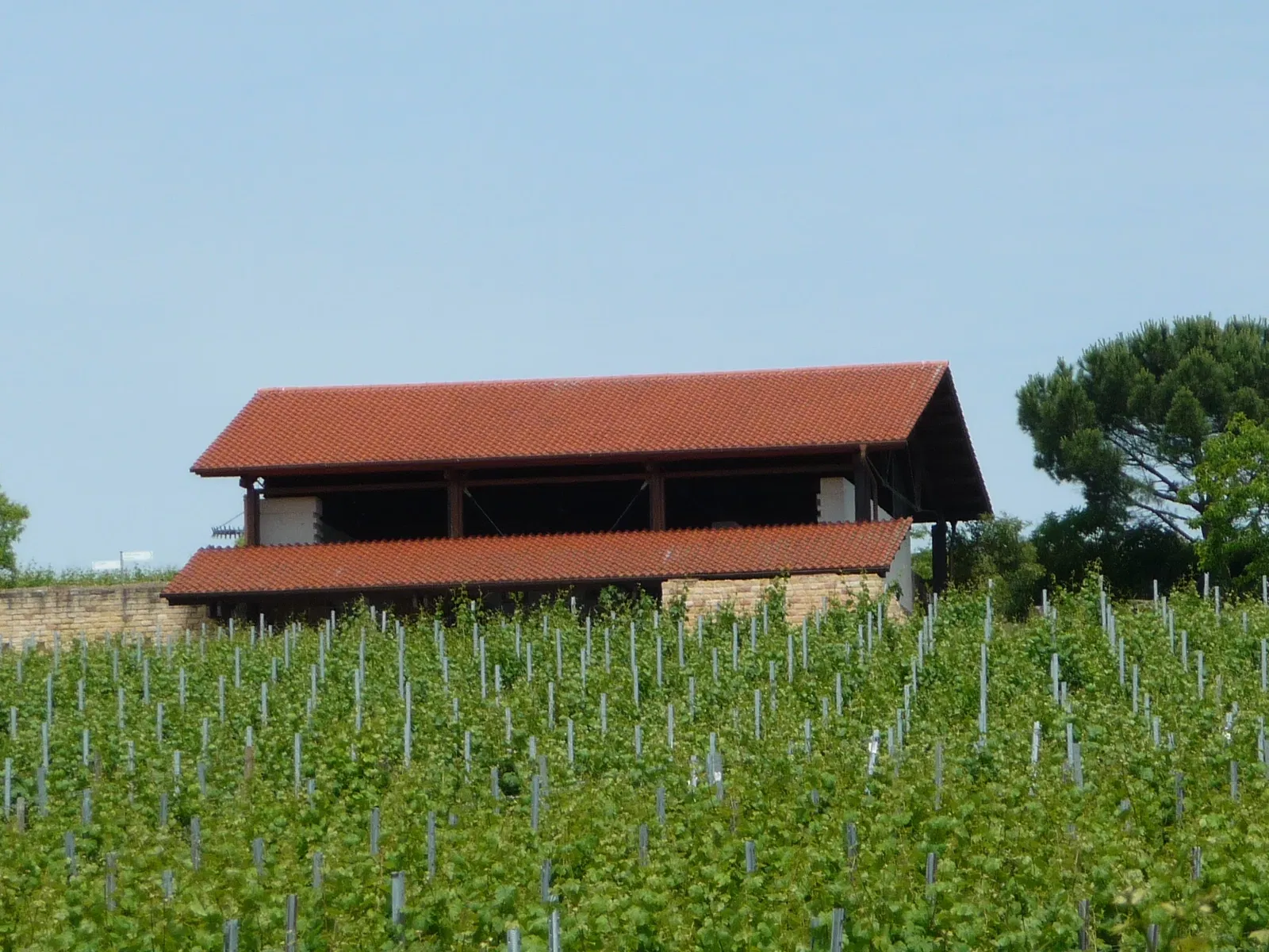Römisches Weingut Weilberg