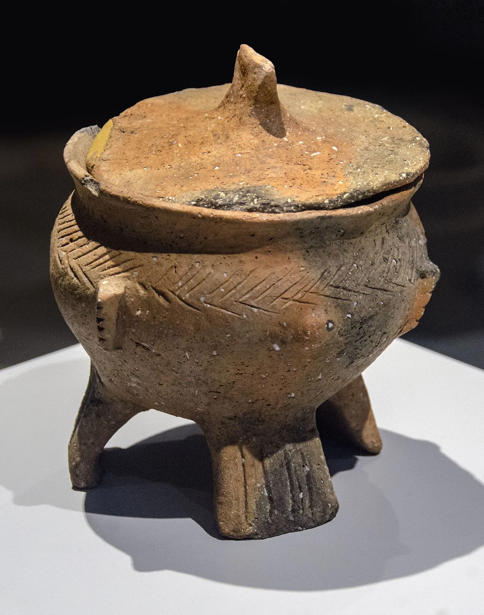 Casa del Cordón (Palencia)